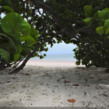 Galería 5to 2018 DR Golf Travel Exchange