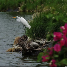 Galería 5to 2018 DR Golf Travel Exchange