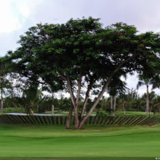 Galería conferencia RDGolf Travel Exchange