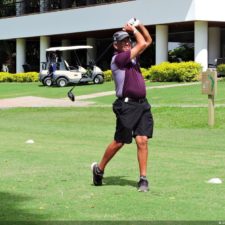 Galería The Green Carpet