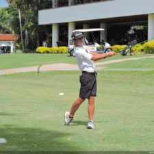 Galería The Green Carpet