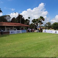 Galería The Green Carpet