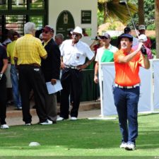 Galería The Green Carpet