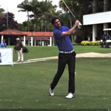 Galería The Green Carpet