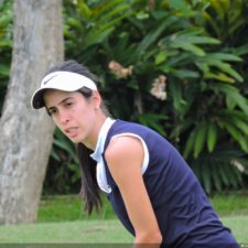 Galería The Green Carpet