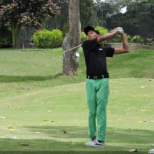 Galería The Green Carpet