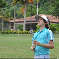 Galería The Green Carpet