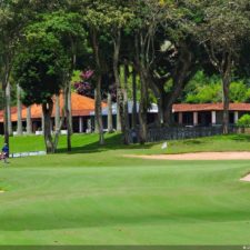 Galería The Green Carpet