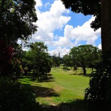 Galería The Green Carpet