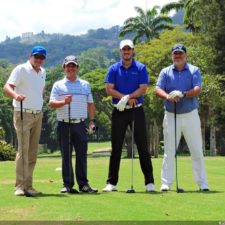 Galería The Green Carpet