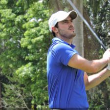 Galería The Green Carpet