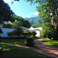 Galería Torneo Copa Martín Feo "Vector Global"