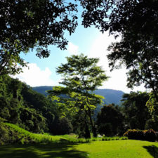 Galería Torneo Copa Martín Feo "Vector Global"