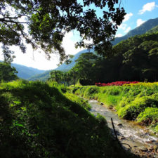 Galería Torneo Copa Martín Feo "Vector Global"