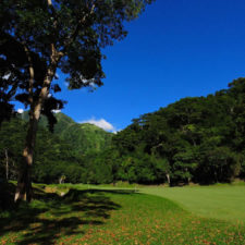 Galería Torneo Copa Martín Feo "Vector Global"