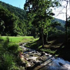 Galería Torneo Copa Martín Feo "Vector Global"