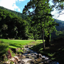 Galería Torneo Copa Martín Feo "Vector Global"