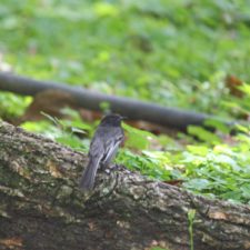 Galería XV Abierto Sambil, día sábado
