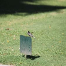Galería XV Abierto Sambil, día sábado