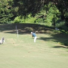 Galería XV Abierto Sambil, día sábado