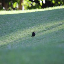 Galería XV Abierto Sambil, día sábado