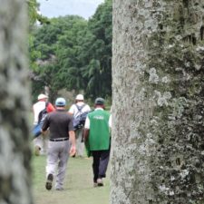 Galería, 2a Ronda II Abierto Sambil Juvenil